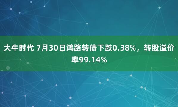 大牛时代 7月30日鸿路转债下跌0.38%，转股溢价率99.14%